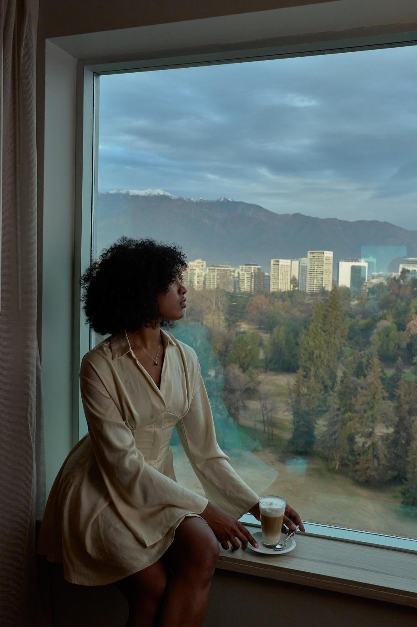 Pullman Santiago Vitacura Exterior photo A woman with natural hair