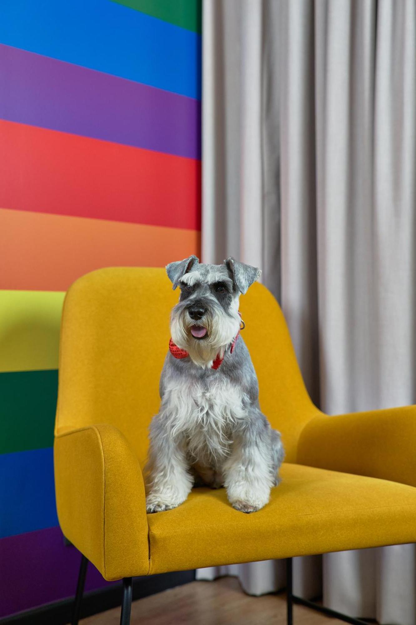 Pullman Santiago Vitacura Exterior photo Schnauzer